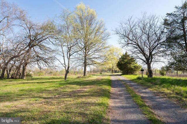 64 Harlingen Rd, Belle Mead, NJ 08502 - view of road