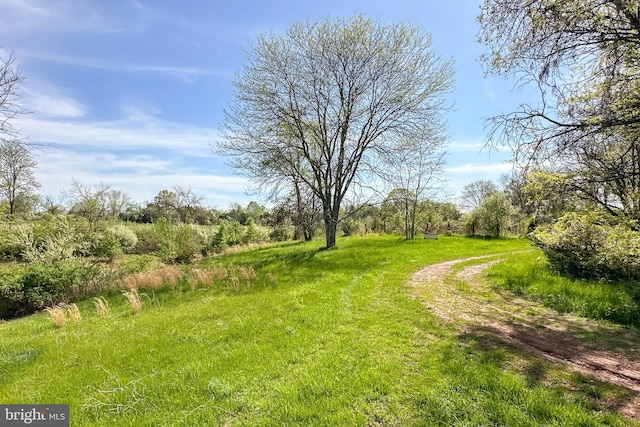64 Harlingen Rd, Belle Mead, NJ 08502 - view of yard