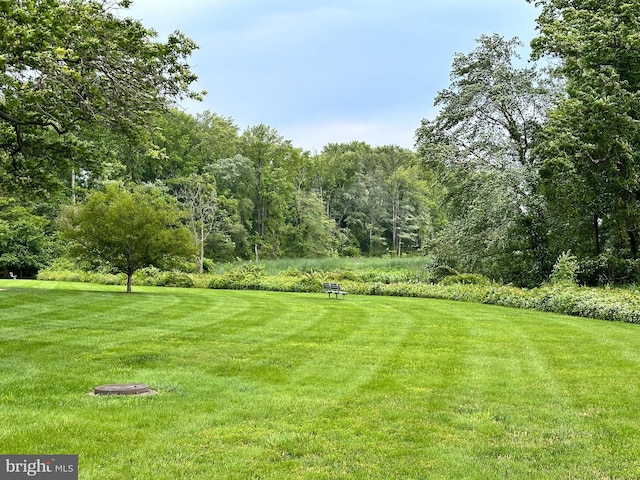 6621 Wakefield Dr Unit 403, Alexandria, VA 22307 - view of green lawn