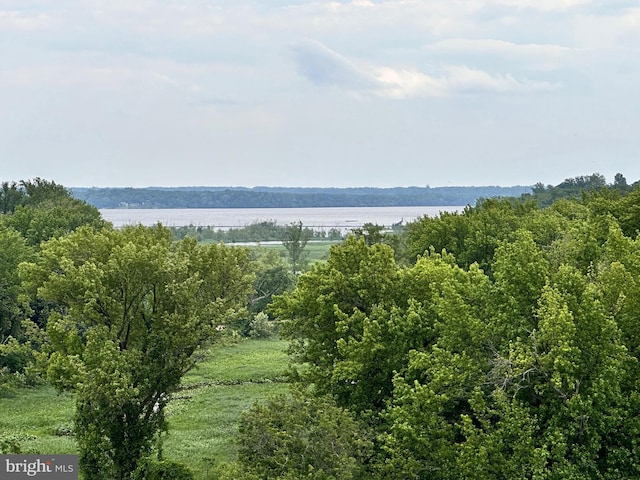 6621 Wakefield Dr Unit 403, Alexandria, VA 22307 - water view