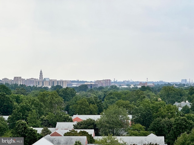 6621 Wakefield Dr Unit 403, Alexandria, VA 22307 - view of city