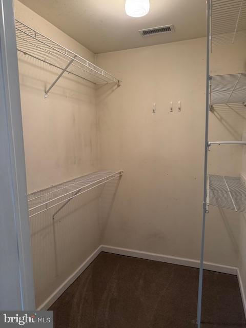 spacious closet with visible vents