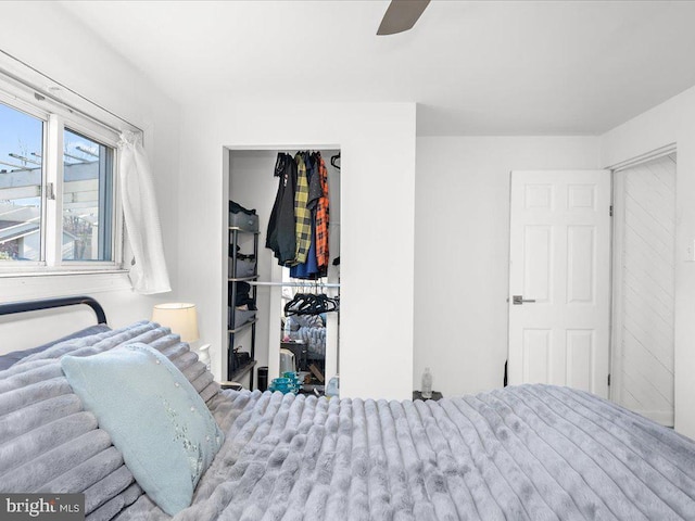 bedroom with a walk in closet, a closet, and a ceiling fan