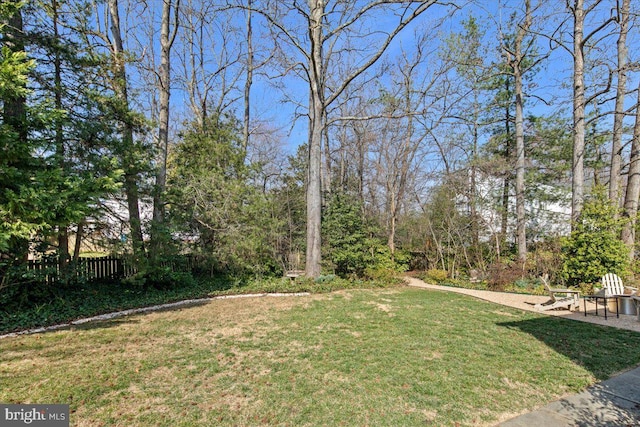 view of yard with a patio and fence