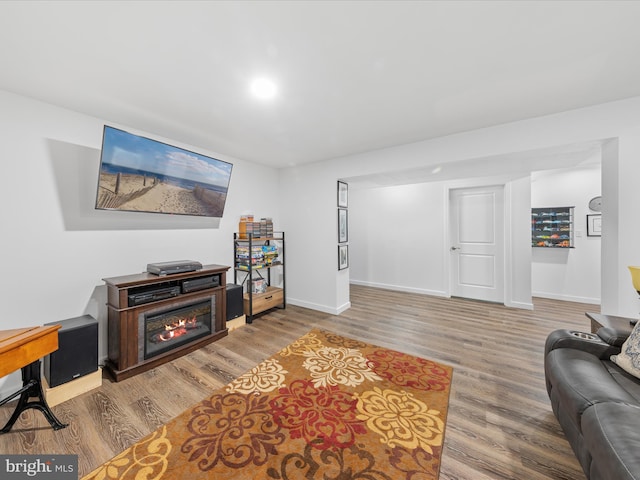 living area featuring a glass covered fireplace, baseboards, and wood finished floors