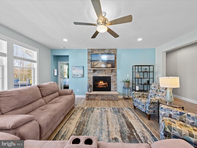 living area featuring baseboards, wood finished floors, and a fireplace