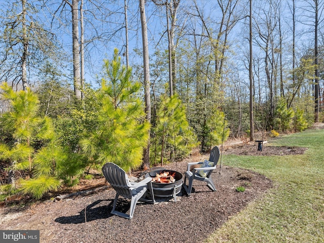 view of yard featuring a fire pit