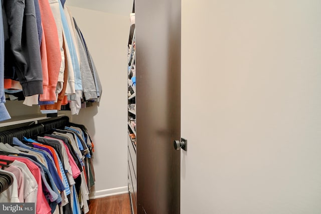 spacious closet featuring wood finished floors