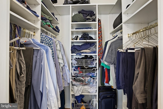 view of spacious closet