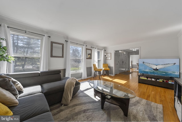 living area featuring baseboards, wood finished floors, and ornamental molding