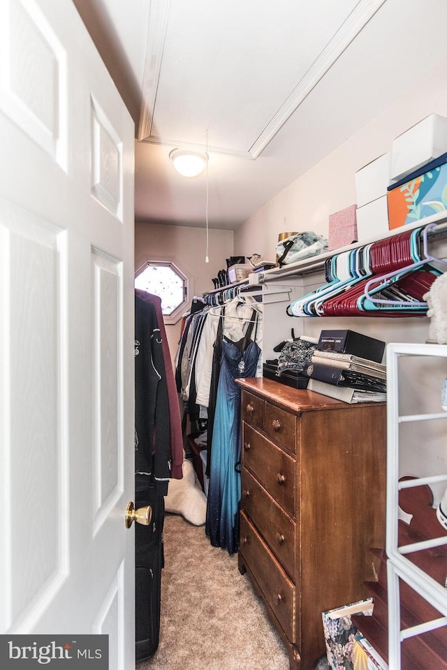 spacious closet with attic access and light colored carpet