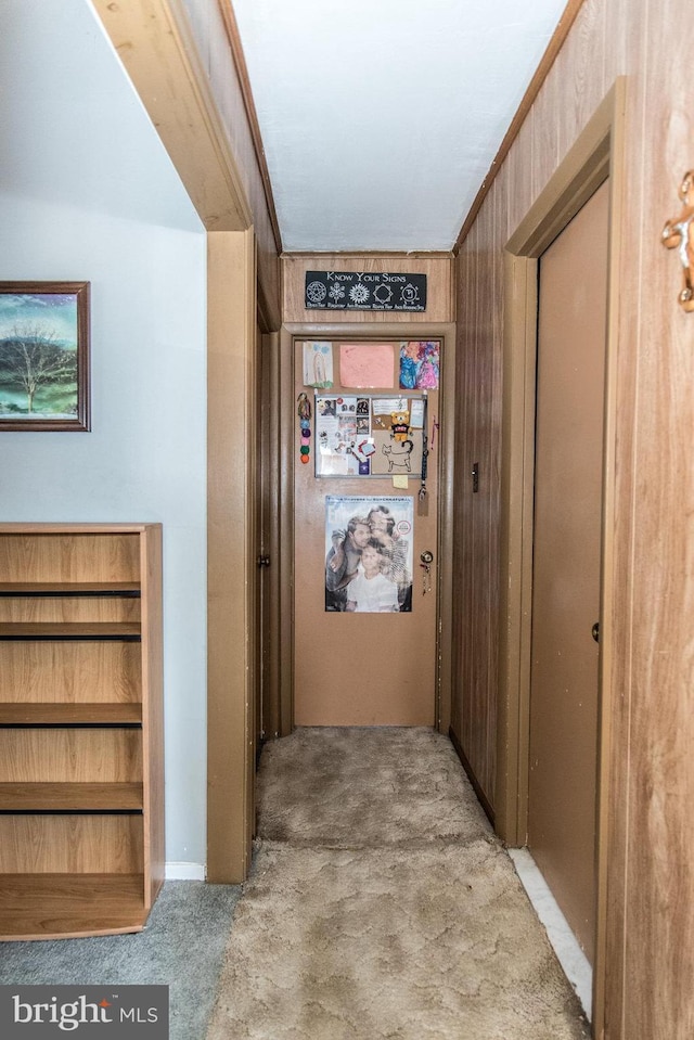 hall with wooden walls, carpet, and ornamental molding