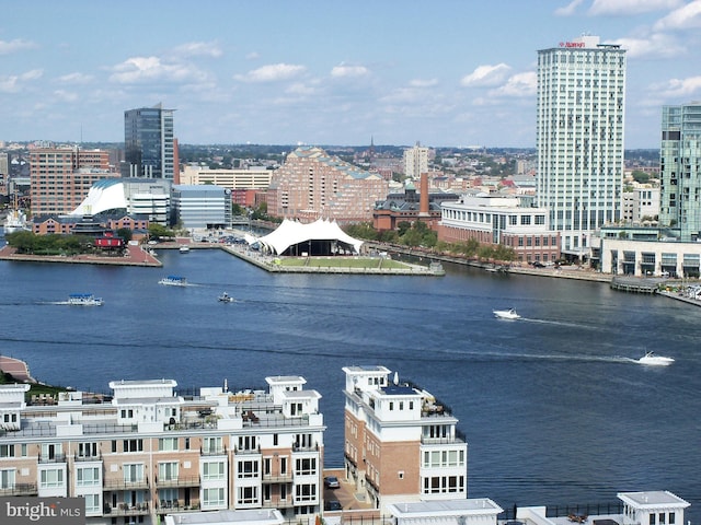 view of water feature featuring a city view