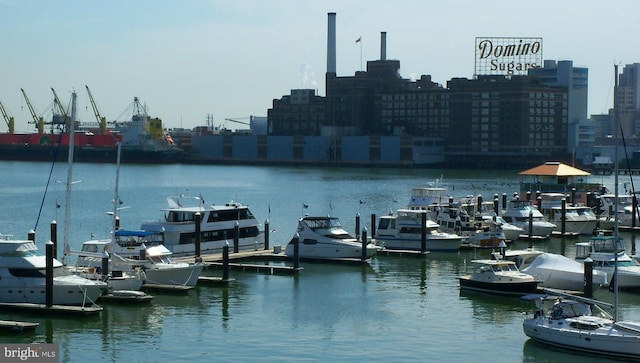 property view of water with a dock