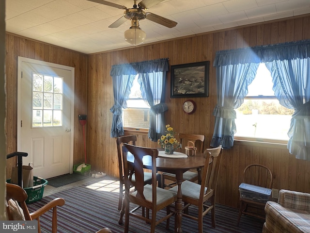 dining space featuring a ceiling fan, a healthy amount of sunlight, and wood walls