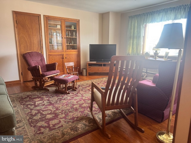 living room with wood-type flooring