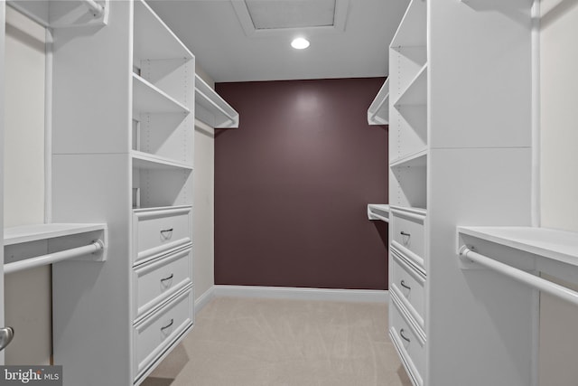 walk in closet featuring light carpet