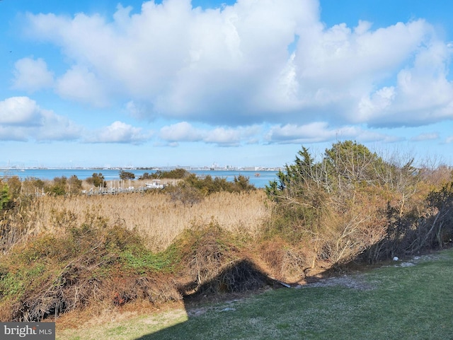 view of nature with a water view