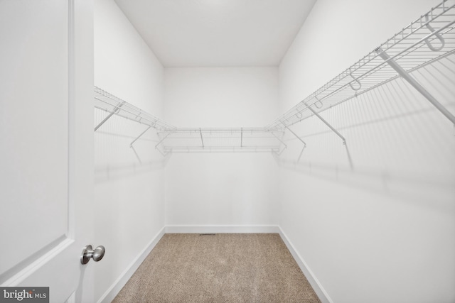 walk in closet with light carpet