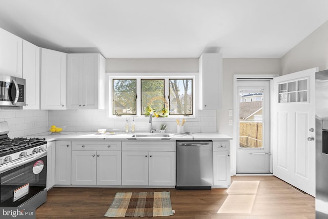 kitchen with a sink, light countertops, a healthy amount of sunlight, and stainless steel appliances