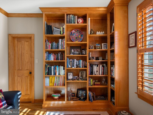 living area with wood finished floors and ornamental molding