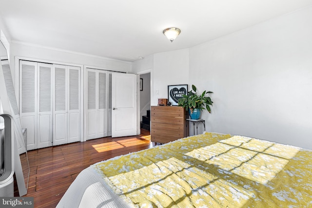 bedroom with multiple closets and wood-type flooring