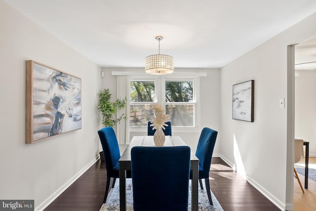 dining room featuring baseboards and hardwood / wood-style floors