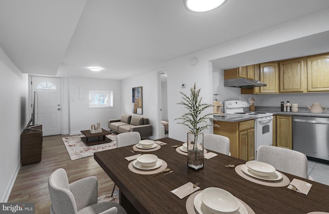 dining area featuring light wood-type flooring and baseboards