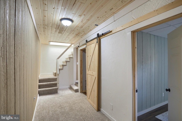 basement featuring a barn door, stairway, wood walls, wooden ceiling, and carpet flooring