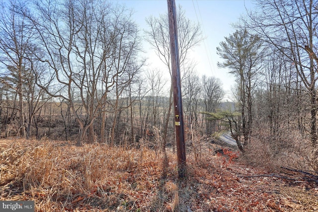 view of local wilderness