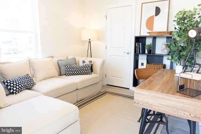 living room with wood finished floors