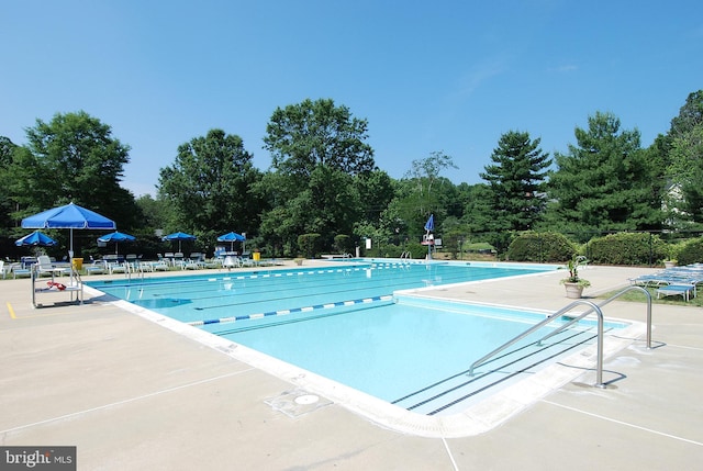 pool with a patio area