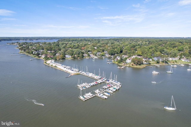 aerial view with a view of trees and a water view