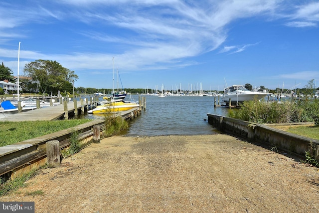 dock area with a water view