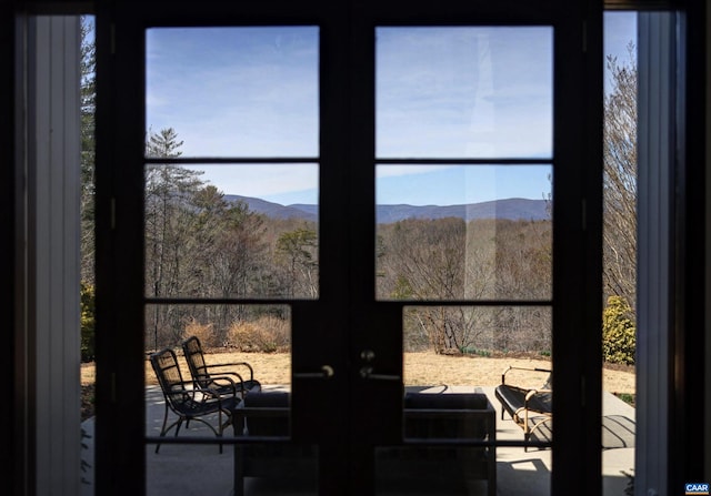 details featuring french doors and a mountain view