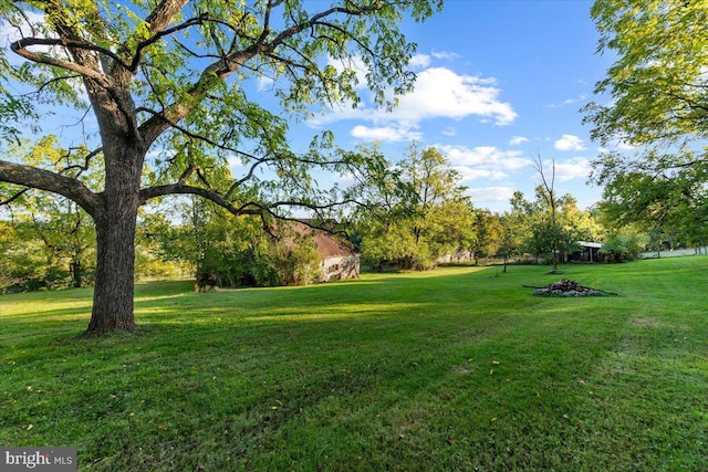 306 Burnt Church Rd, Winchester, VA 22603 - view of yard