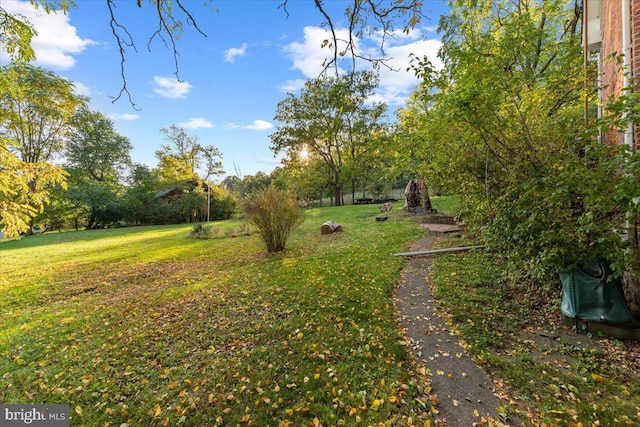 306 Burnt Church Rd, Winchester, VA 22603 - view of yard