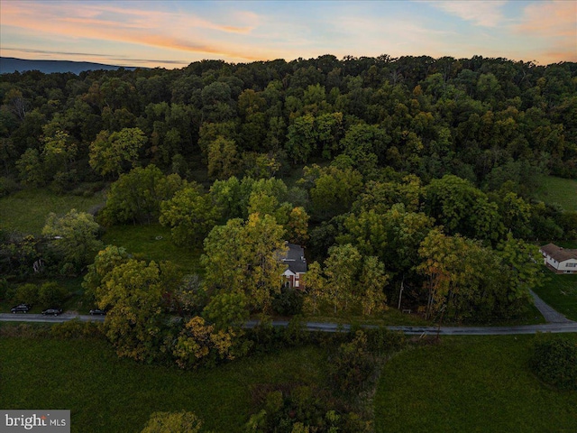 306 Burnt Church Rd, Winchester, VA 22603 - aerial view at dusk featuring a forest view