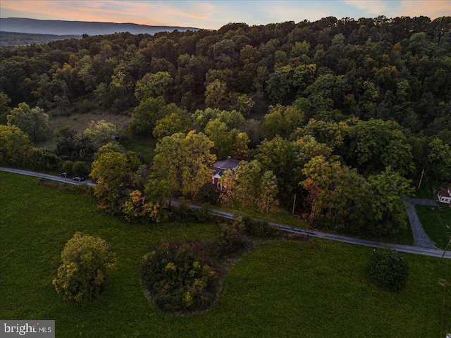 306 Burnt Church Rd, Winchester, VA 22603 - bird's eye view with a wooded view
