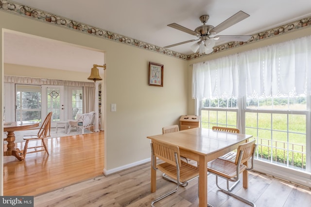 1629 Pondview Dr, Winchester, VA 22601 - dining area featuring ceiling fan, plenty of natural light, and light wood finished floors