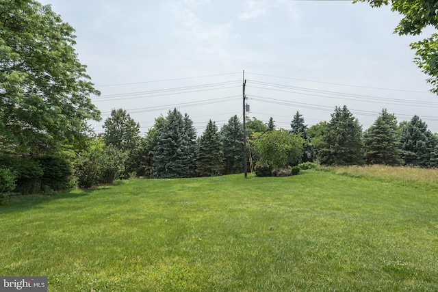 1629 Pondview Dr, Winchester, VA 22601 - view of grassy yard