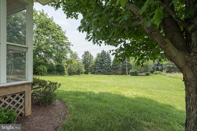 1629 Pondview Dr, Winchester, VA 22601 - view of green lawn