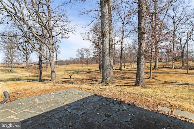 view of yard featuring a patio