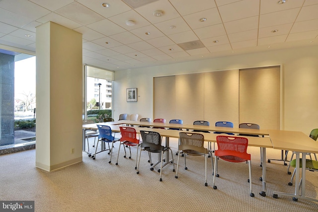 carpeted dining area featuring a wall of windows, a drop ceiling, and baseboards