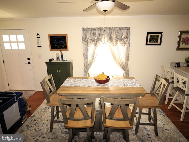 dining space with crown molding, dark wood-type flooring, and ceiling fan