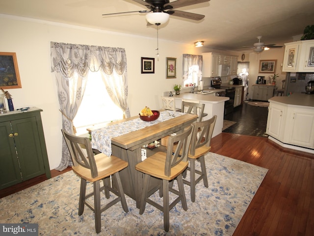 dining room featuring a ceiling fan, dark wood-type flooring, and crown molding