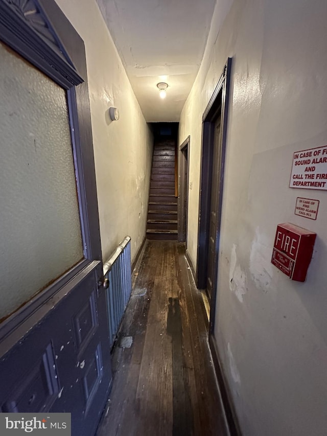 hallway featuring dark wood-type flooring