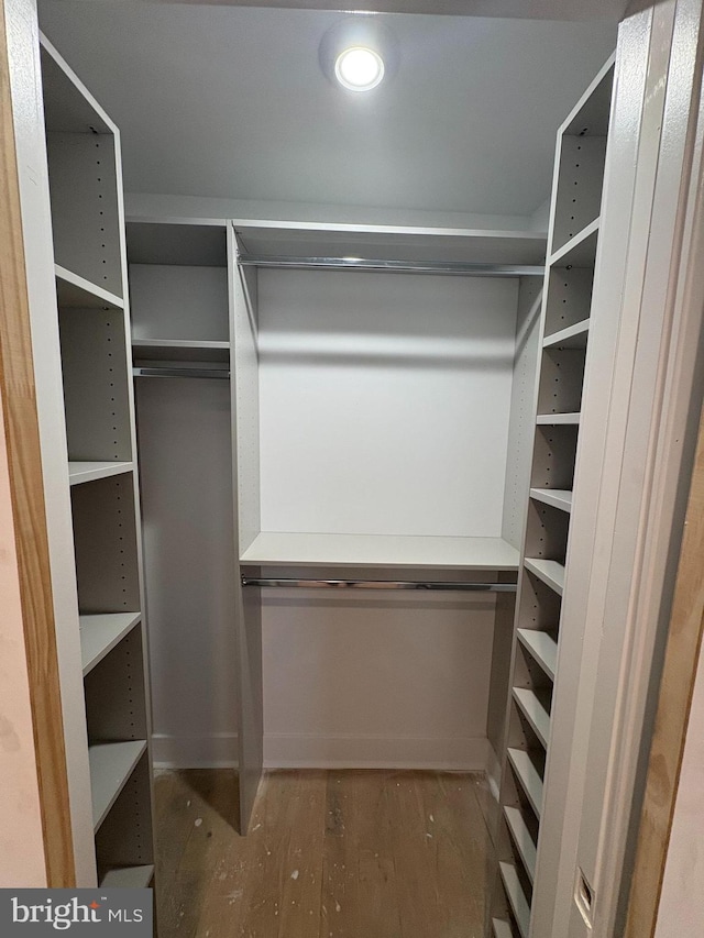 walk in closet featuring wood finished floors