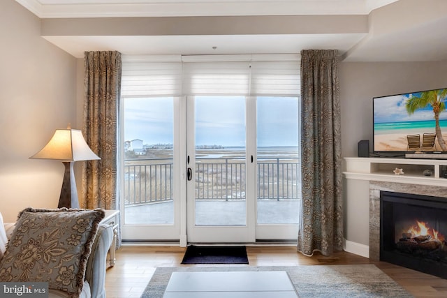 doorway to outside featuring wood finished floors and a premium fireplace