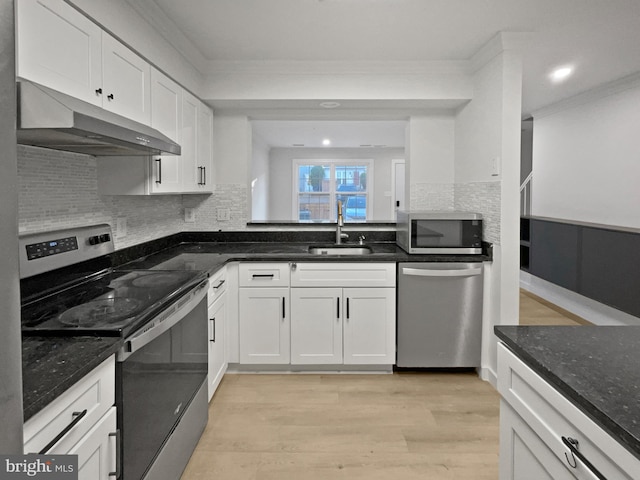 kitchen featuring under cabinet range hood, ornamental molding, appliances with stainless steel finishes, and a sink